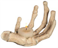 Skeleton Hand Votive Holder